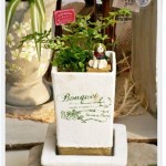 岡山の観葉植物販売店