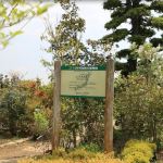 岡山の植木販売