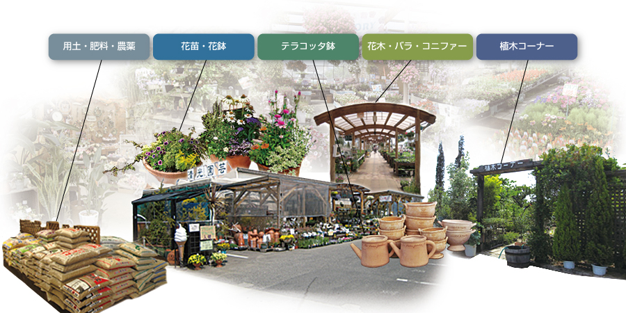 西日本最大級の園芸店、清光園芸の店舗イメージ